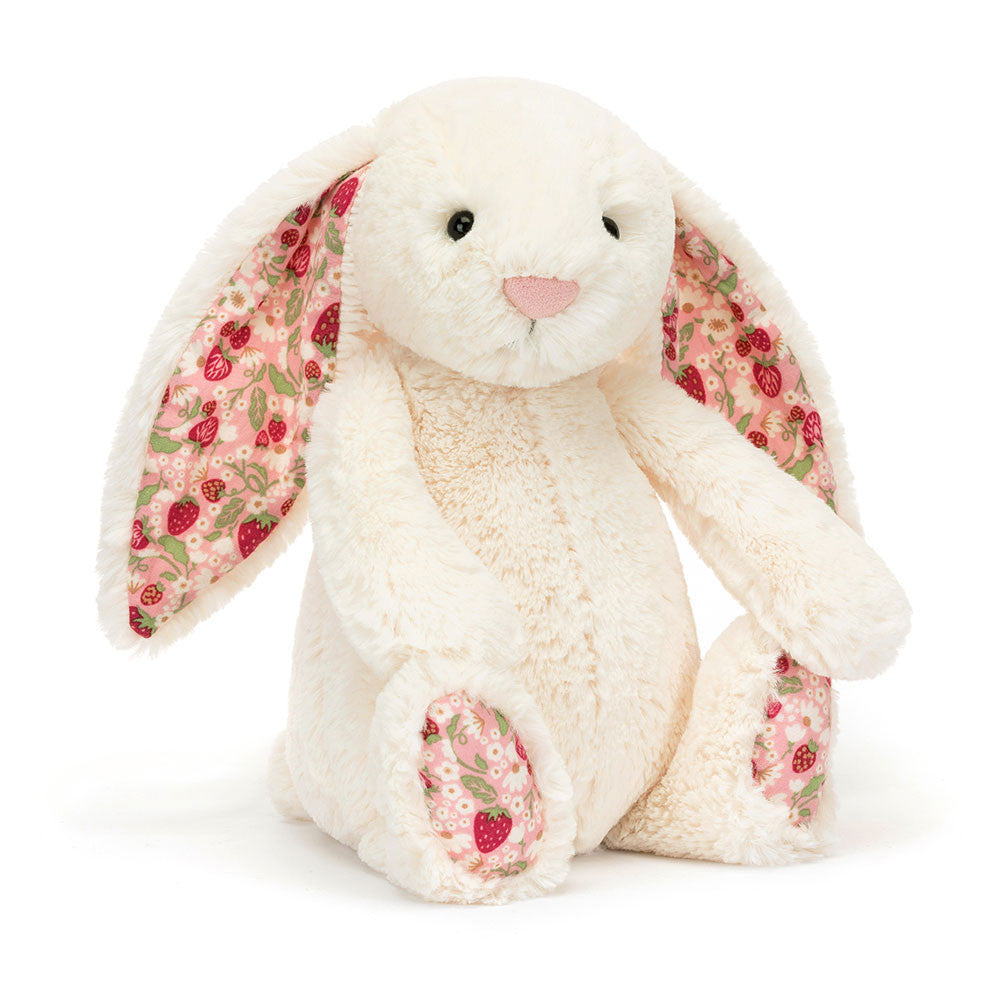 Bashful Bunny Rabbit
