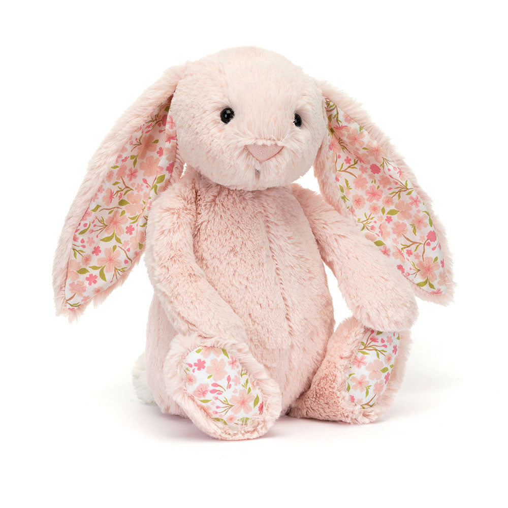 Bashful Bunny Rabbit